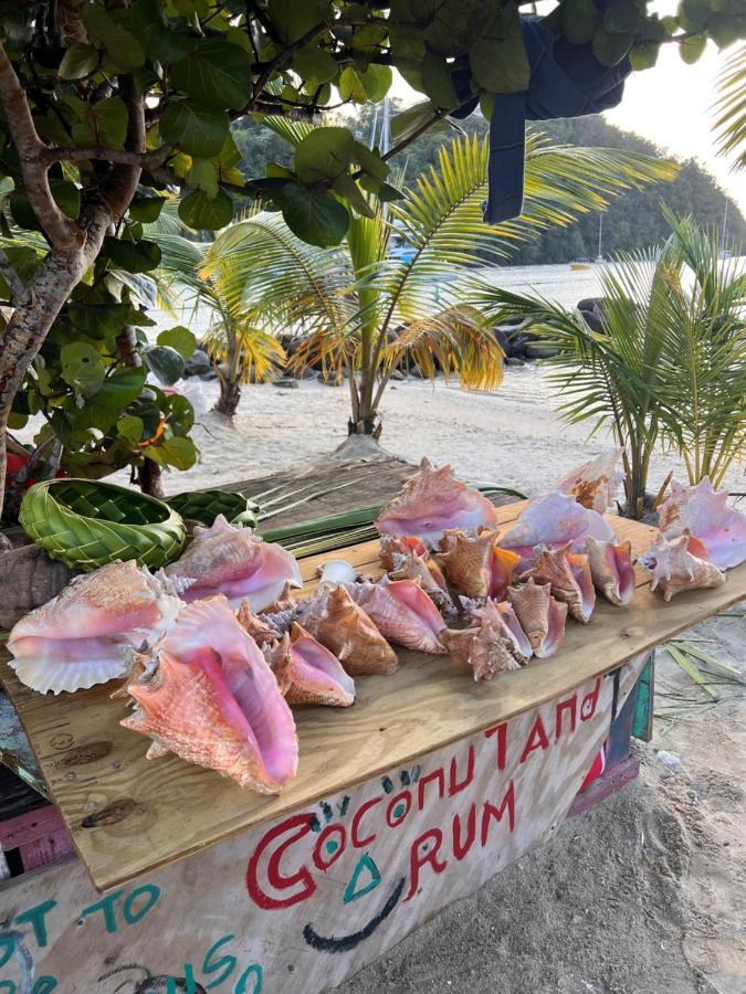 Casa Del Vega A Little Peace Of Heaven Hotel Castries Exterior photo
