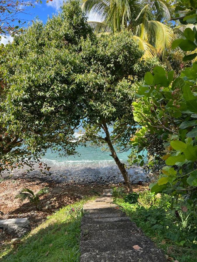 Casa Del Vega A Little Peace Of Heaven Hotel Castries Exterior photo