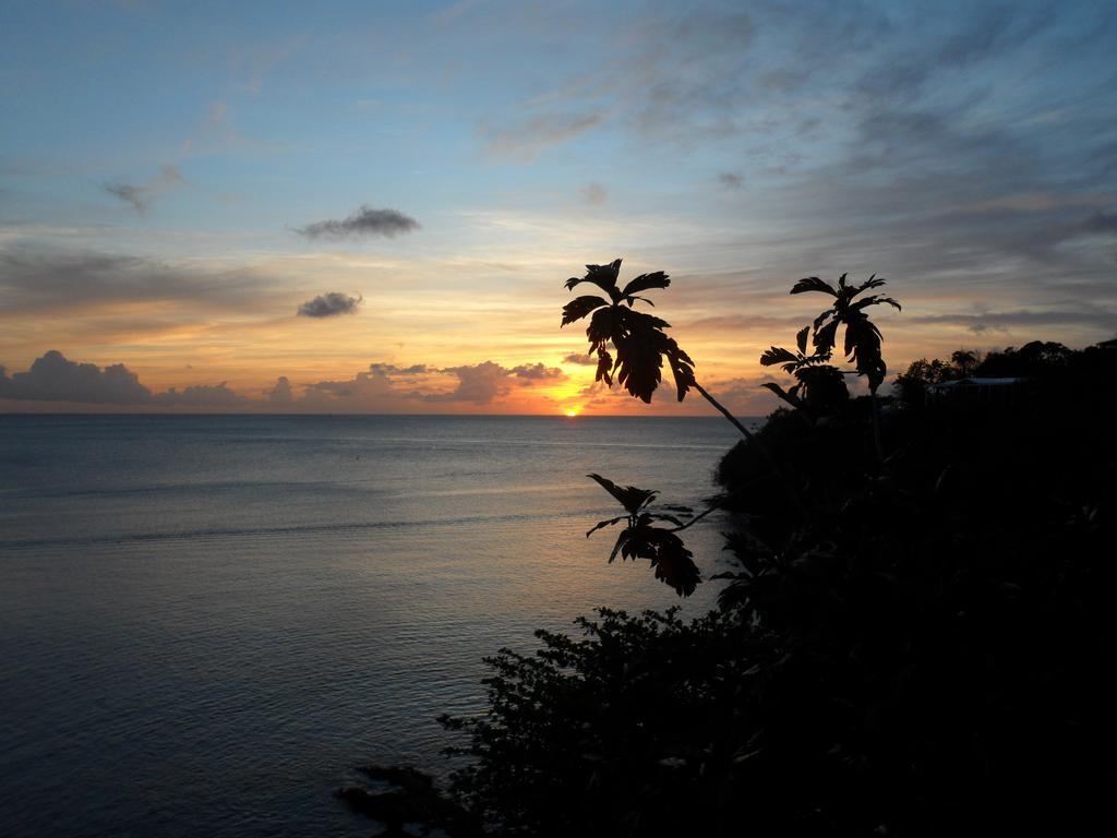 Casa Del Vega A Little Peace Of Heaven Hotel Castries Room photo