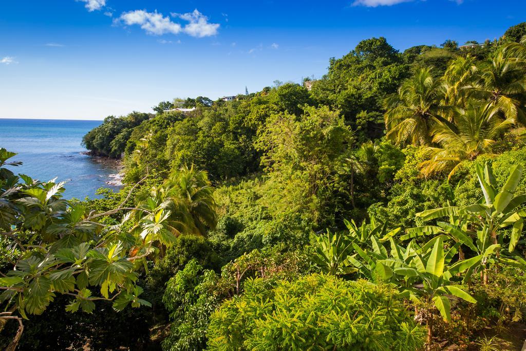 Casa Del Vega A Little Peace Of Heaven Hotel Castries Exterior photo