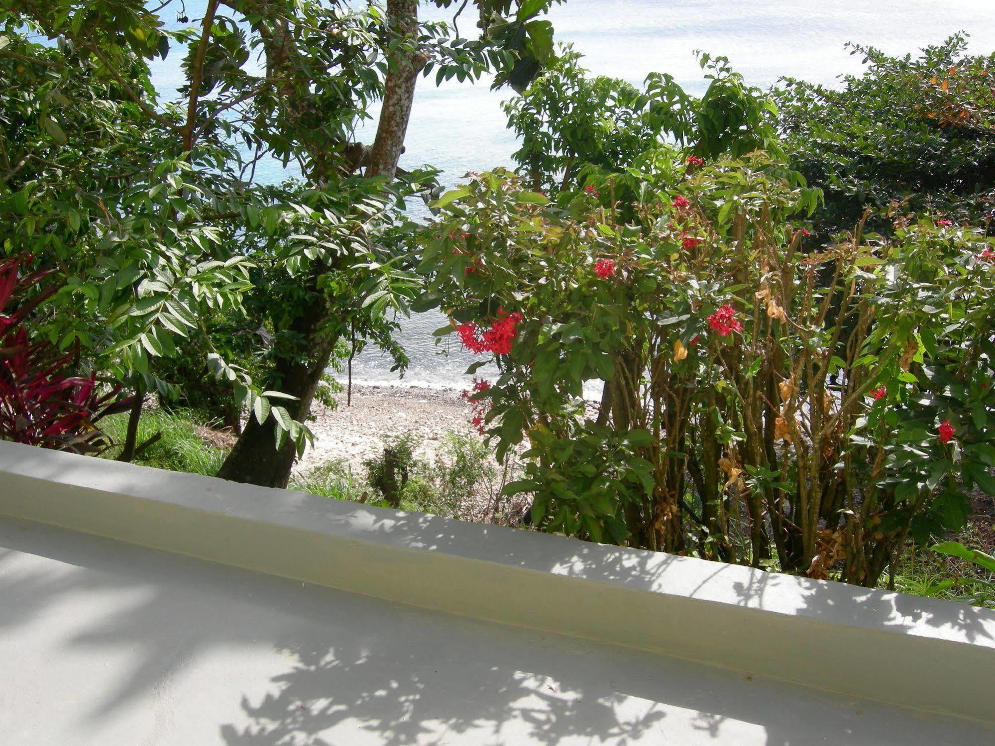Casa Del Vega A Little Peace Of Heaven Hotel Castries Exterior photo